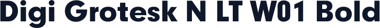 Digi Grotesk N LT W01 Bold