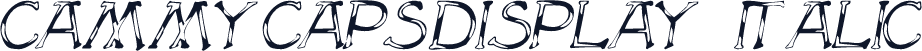 CammyCapsDisplay Italic