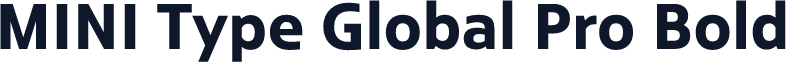 MINI Type Global Pro Bold