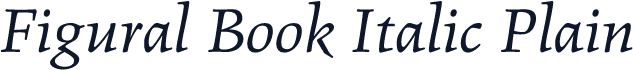 Figural Book Italic Plain
