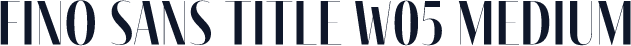Fino Sans Title W05 Medium