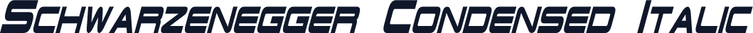 Schwarzenegger Condensed Italic