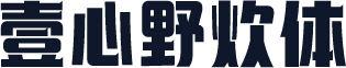 壹心野炊体