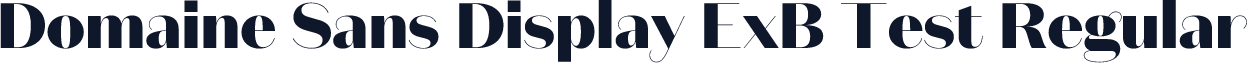 Domaine Sans Display ExB Test Regular