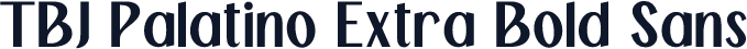 TBJ Palatino Extra Bold Sans