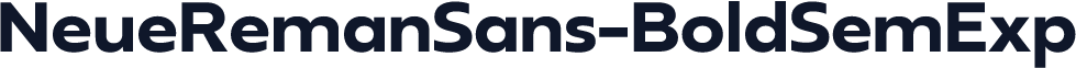 NeueRemanSans-BoldSemExp