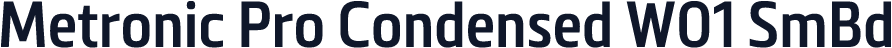 Metronic Pro Condensed W01 SmBd