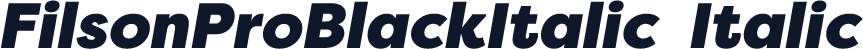 FilsonProBlackItalic-Italic