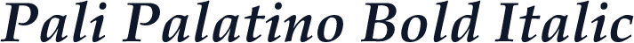 Pali Palatino Bold Italic
