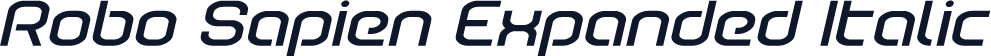 Robo Sapien Expanded Italic