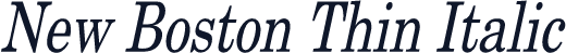 New Boston Thin Italic