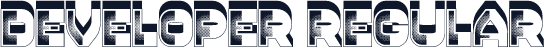 Developer Regular