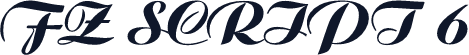 FZ SCRIPT 6