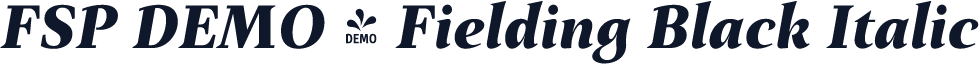 FSP DEMO - Fielding Black Italic