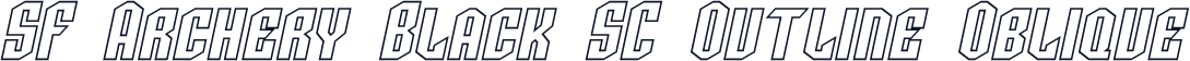 SF Archery Black SC Outline Oblique