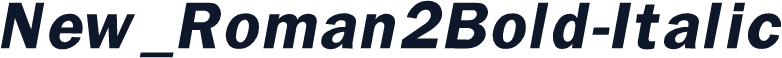 New_Roman2Bold-Italic