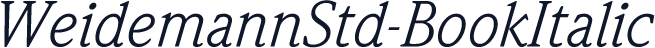 WeidemannStd-BookItalic