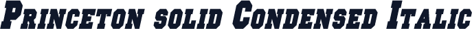 Princeton solid Condensed Italic