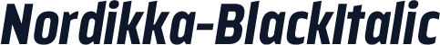 Nordikka-BlackItalic