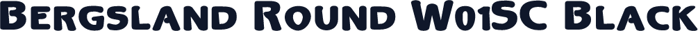 Bergsland Round W01SC Black