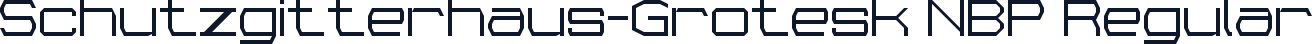 Schutzgitterhaus-Grotesk NBP Regular