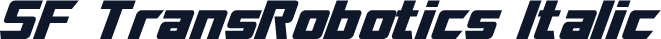 SF TransRobotics Italic