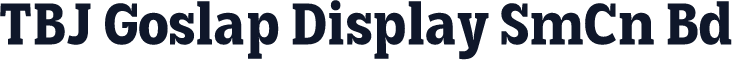 TBJ Goslap Display SmCn Bd