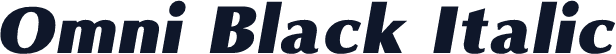 Omni Black Italic