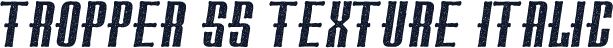 Tropper SS Texture Italic