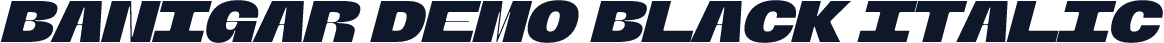 Banigar DEMO Black Italic