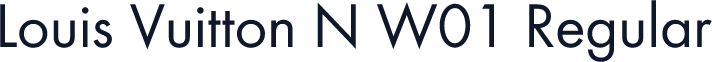 Louis Vuitton N W01 Regular