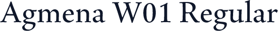 Agmena W01 Regular
