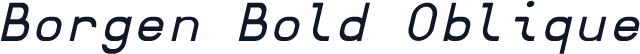 Borgen Bold Oblique