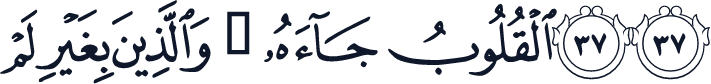 QCF_P355