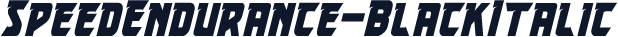 SpeedEndurance-BlackItalic