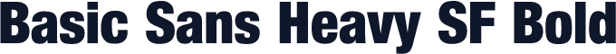 Basic Sans Heavy SF Bold