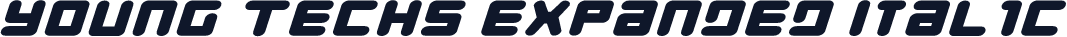 Young Techs Expanded Italic