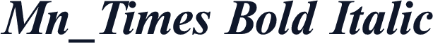 Mn_Times Bold Italic