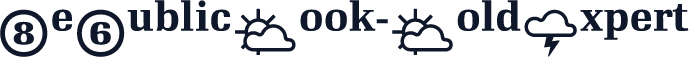 RePublicBook-BoldExpert