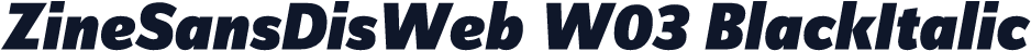 ZineSansDisWeb W03 BlackItalic