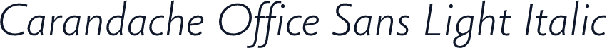 Carandache Office Sans Light Italic