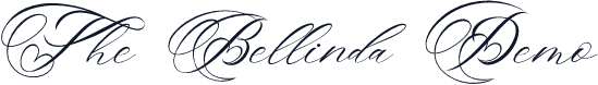 The Bellinda Demo