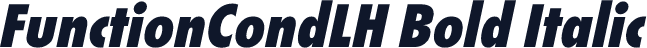 FunctionCondLH Bold Italic