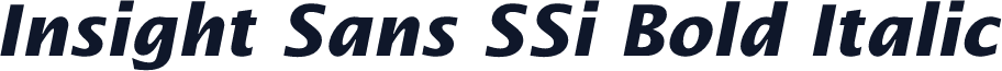 Insight Sans SSi Bold Italic