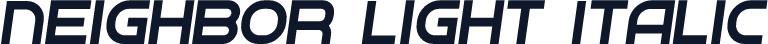 Neighbor Light Italic
