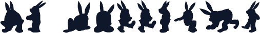 MD Rabbit35