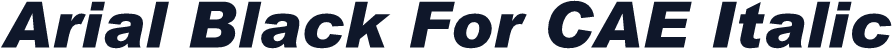 Arial Black For CAE Italic