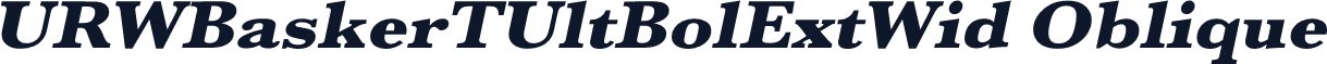 URWBaskerTUltBolExtWid Oblique