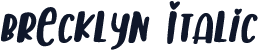 Brecklyn Italic