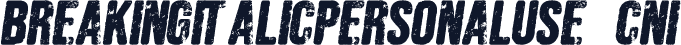 BREAKINGITALICPERSONALUSE-CnI